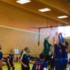 samstag 29